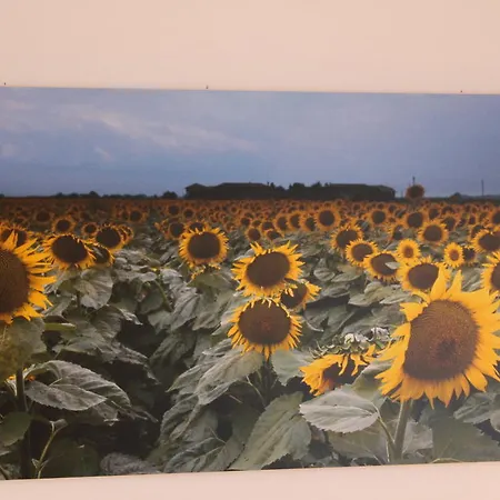 Agriturismo Gon Udine