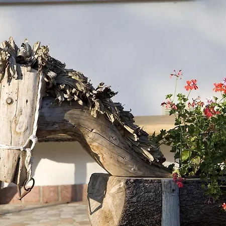 Farm stay Agriturismo Gon *