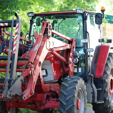 Agriturismo Gon *